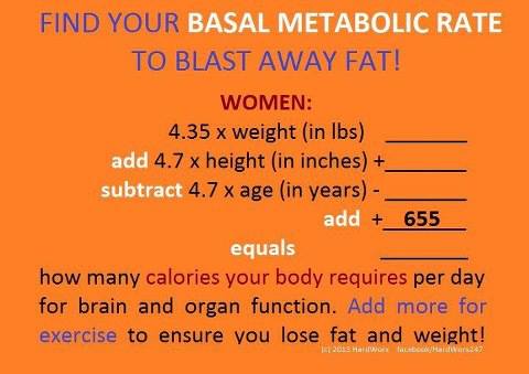 404457_593570930667264_1491732314_n